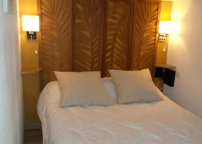 à Proche étang Et Thermes Avec Loggia Et Animaux Admis - Fr-1-503-89 * Balaruc-les-Bains