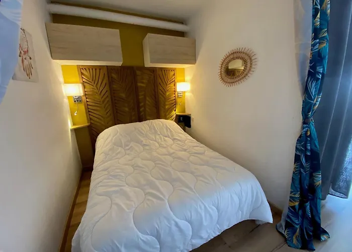 Appartement à Proche étang Et Thermes Avec Loggia Et Animaux Admis - Fr-1-503-89 Balaruc-les-Bains